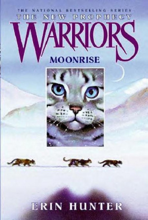 Warrior Cat Reviews