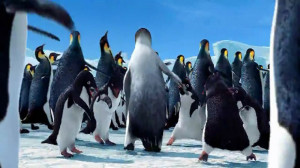 We're just having fun