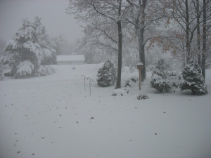 Snow Storm Coming Tomorrow! (Scranton, Wilkes-Barre: schools, casino ...