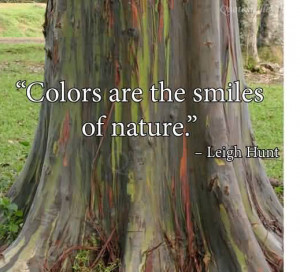 Colors Are The Smiles Of Nature