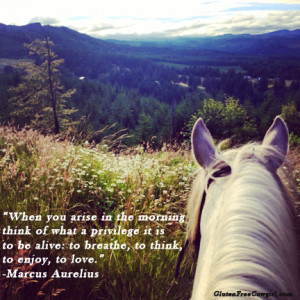 Cowgirl quotes and love to inspire your life! Enjoy! SarahAnn