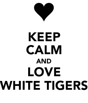 Funny Quotes Contact Dmca...