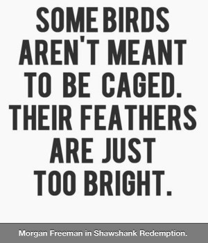 Shawshank Redemption