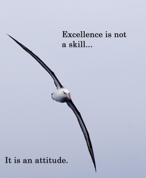 excellence-is-not-a-skill-it-is-an-attitude-quote-for-you-daily-quotes ...