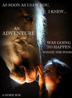 Quotes About Rescue Horses