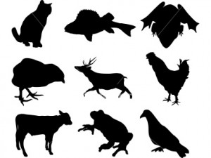 Now Back Our Discussion Topic