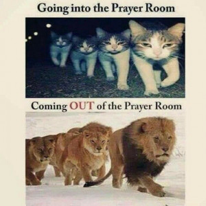 going in kittens, coming or lions - power of prayer