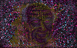 Albert Hofmann psychedelic portrait free wallpaper