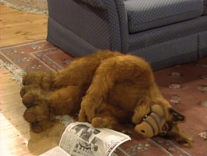 Alf Faints When Reads...