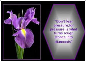 Dont fear pressure for pressure is what turns rough stones into ...