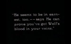 Wolf Friendship Poems