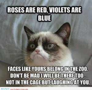 ... Red Violets Are Blue Faces Like Yours Belong In The Zoo - Animal Quote