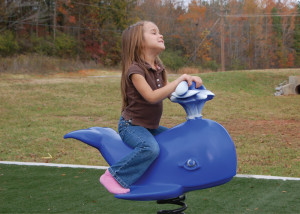 Whale Rotomolded Rider