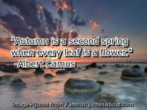 Funny pictures: Autumn quotes, life quotes, halloween quotes