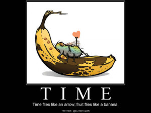 hehe, Time flies like an arrow; fruit flies like a banana. #funny