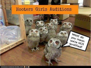 More like this: hooters girl , owls and girls .