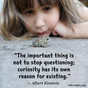 ... ; curiosity has its own reason for existing.