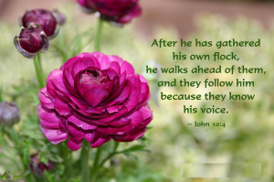 ... He Has Gathered His Own Flock, He Walks Ahead Of Them - Flower Quote