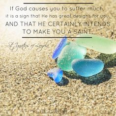 Catholic All Year: St. Ignatius of Loyola quote about suffering ...