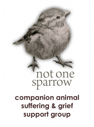 buddhist pain and suffering quotes