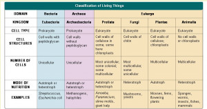 Kingdoms of Life Characteristics Chart