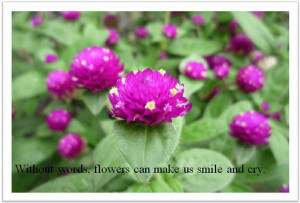 Flower quotes