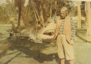 Zane Grey And His Great White Shark, Or As He Called It 