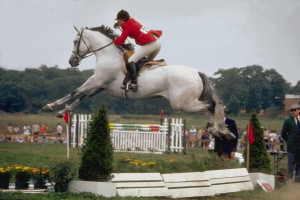 Overview of equestrian activities