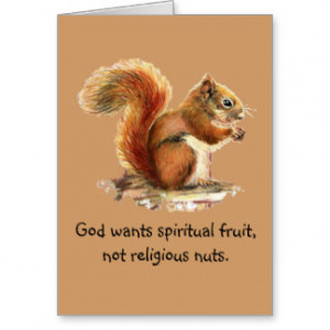 Funny Squirrel Cards & More
