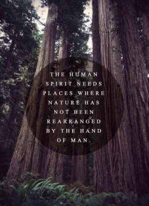Love this nature quote