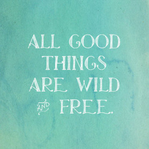 Wild and Free Quote Print - Thorea Quote - All good things are wild ...