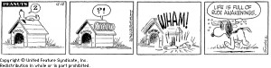 Peanuts Comic Strip ‘Life is full of rude awakenings’ nothing can ...