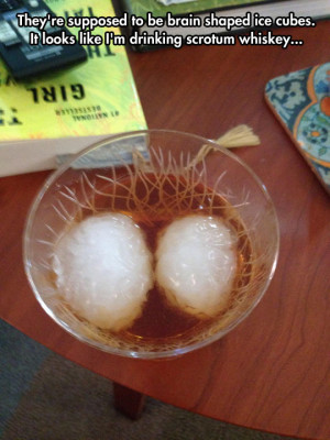 Brain-shaped ice cubes…