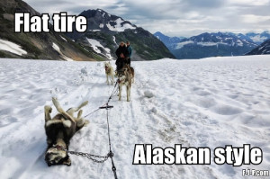 Funny Alaskan Flat Husky Tire Tyre Joke Picture