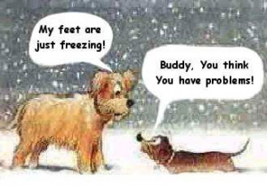 Well no matter how cold you are, it could be worse as one dog informs ...