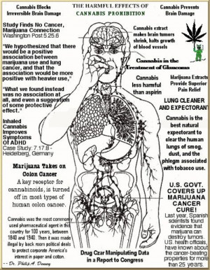 Smokin N Jokin: Harmful Effects of Cannabis Prohibition (Photo)