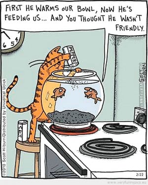 Funny Picture - First he warms our bowl now hes feeding us and you ...