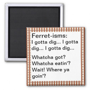 Funny Ferret-ism Quotes Refrigerator Magnet