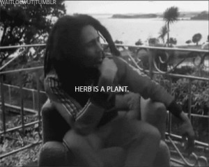 gif weed rasta bless dreads Bob Marley good vibes dreadlocks reggae ...