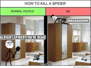 how-to-kill-a-spider.jpg