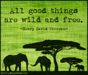 All good things are wild and free.”