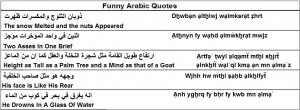 ... Arabic Beginners Guide or check out the Importance of Languages Store