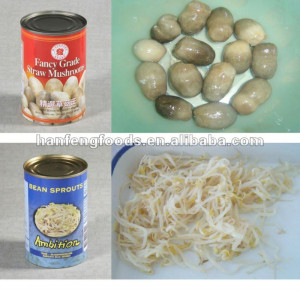 Canned Bean Sprouts