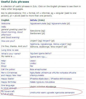 Sooo, while looking up zulu phrases I came across this
