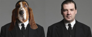 downton-abbey-dogs-1 - Bates, Lord Grantham's Valet: Basset Hound