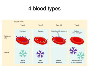 blood type chart genetics