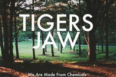 Tigers Jaw