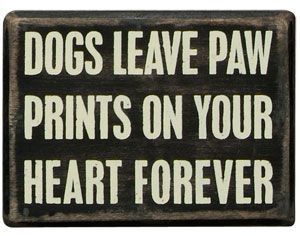 Love my dogs forever #bigbarker #quote