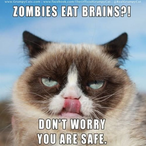 Grumpy cat- zombies eat brains?