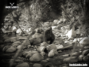 Bigfoot Sasquatch Yeti